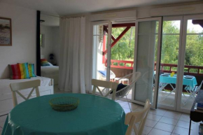 appartement cosy et nature au coeur du Bassin